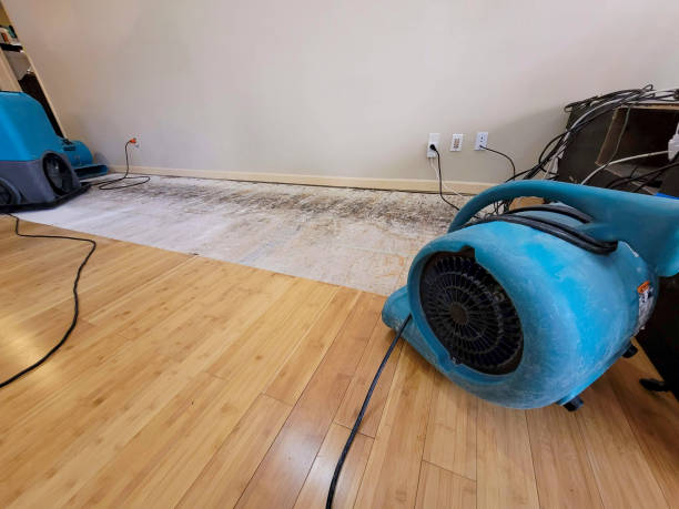 Professional Water Damage Repair technician working in Felton, CA